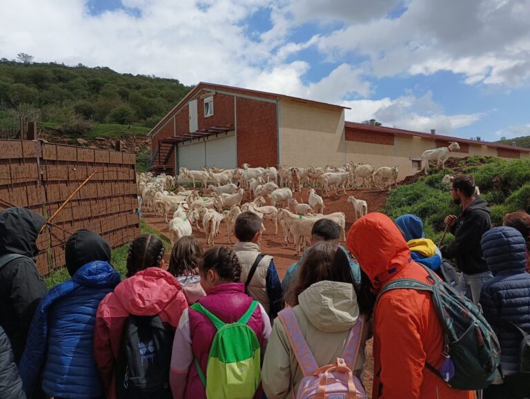 Taller “Que me quiten lo pastao”