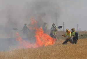 Incendio agrícola de cultivos de cebada y vezas sin cosechar en el término de Villalobón, han intervenido bomberos de la capital, Diputación y Junta de Castilla y León. Fotografía: Brágimo (ICAL)