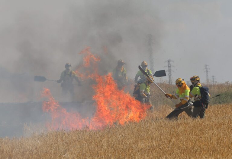 Incendio agrícola de cultivos de cebada y vezas sin cosechar en el término de Villalobón, han intervenido bomberos de la capital, Diputación y Junta de Castilla y León. Fotografía: Brágimo (ICAL)