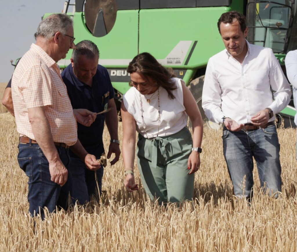 La consejera de Agricultura, Ganadería y Desarrollo Rural, María González Corral, presenta la cosecha de cereales de invierno de la presente campaña 2024-2025. Fotografía: Rubén Cacho