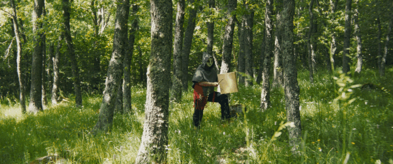 Castora Herz lanza “Espejo, sol y luna”