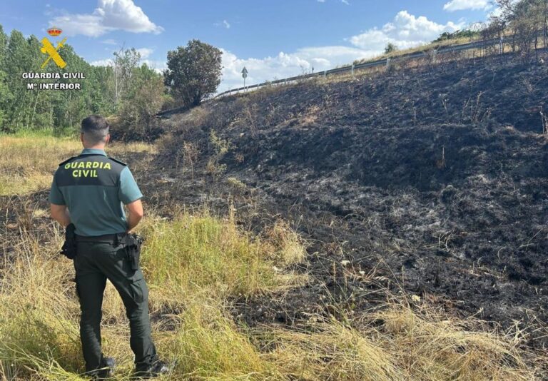 Foto del incendio en Pisón de Ojeda