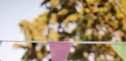 Foto del pipafest 2024