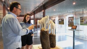 Exposición Reactiva Brañosera