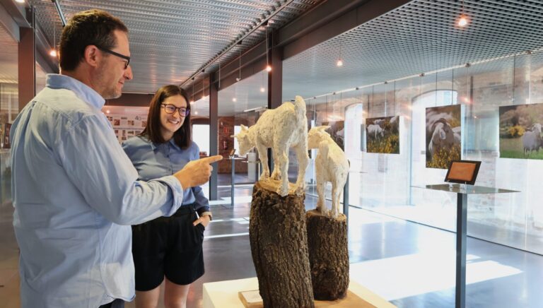 Exposición Reactiva Brañosera