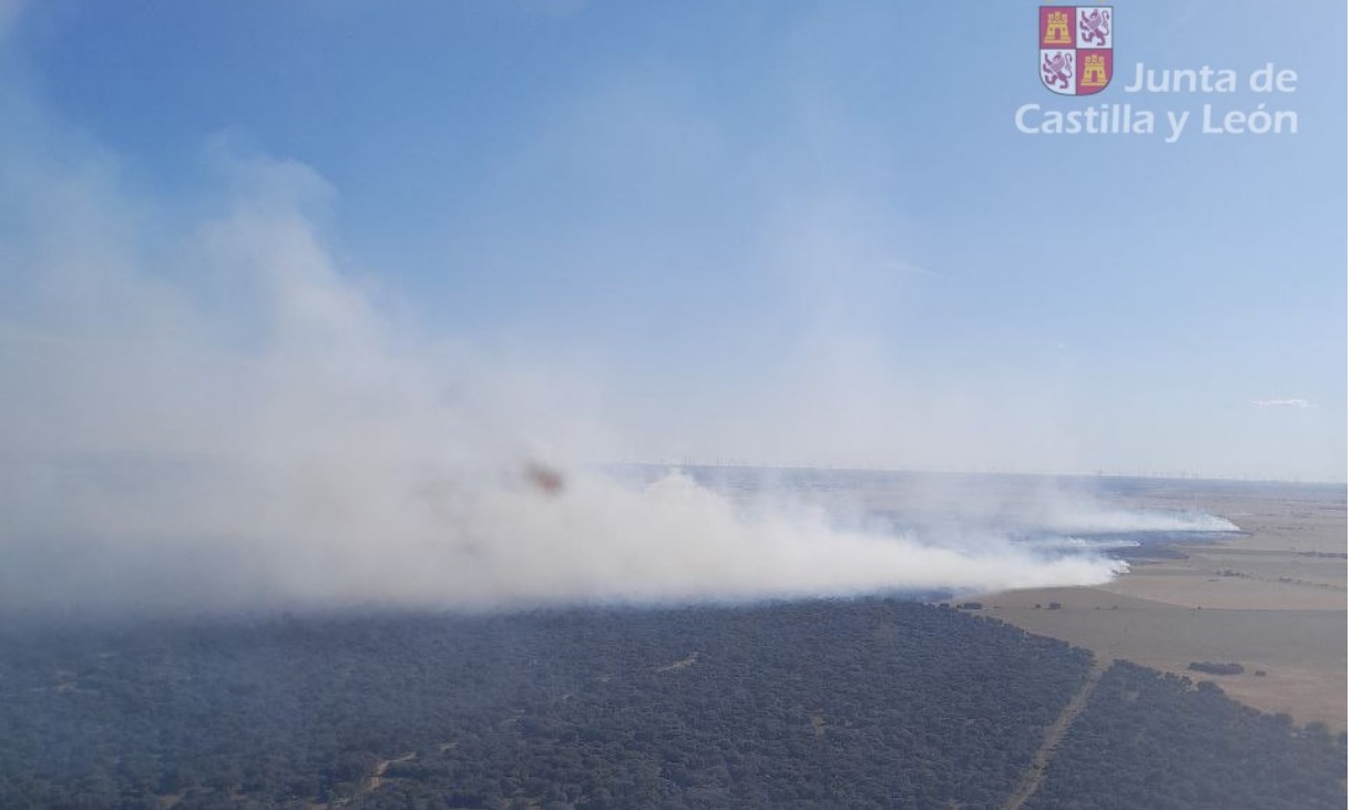 Vista aérea del incendio desde uno de los helicópteros de la lucha contra el fuego, en la que se observa la evolución del fuego y al fondo la masa forestal del Monte el Viejo. / JCYL