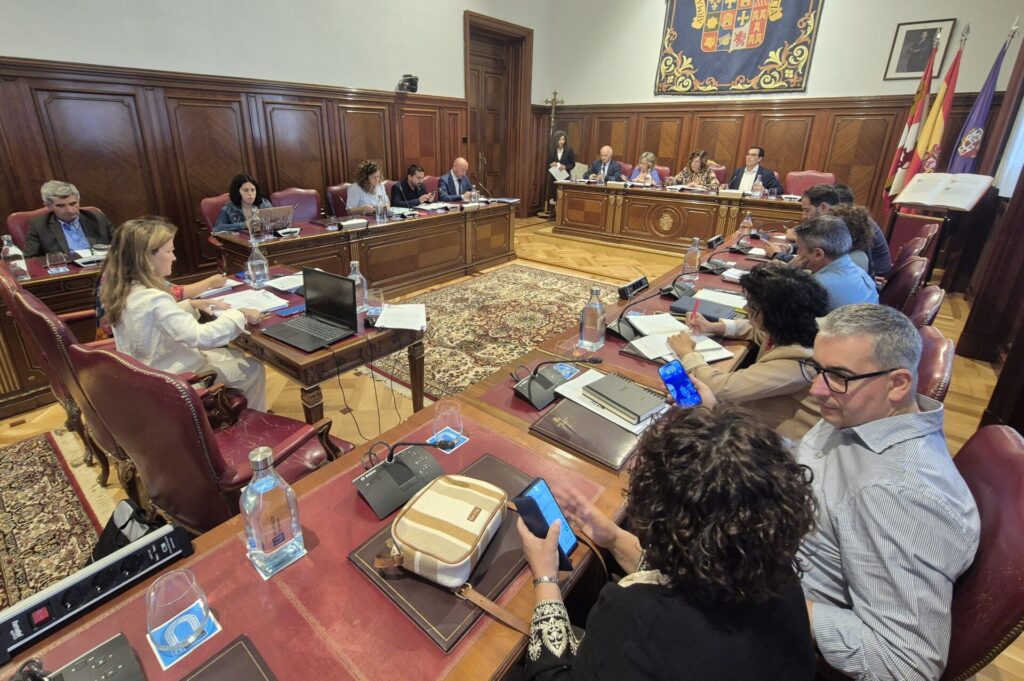 pleno diputación