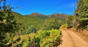 Acceso desde Lores a Pineda, antes del incendio. Fuente: Turismo Montaña Palentina
