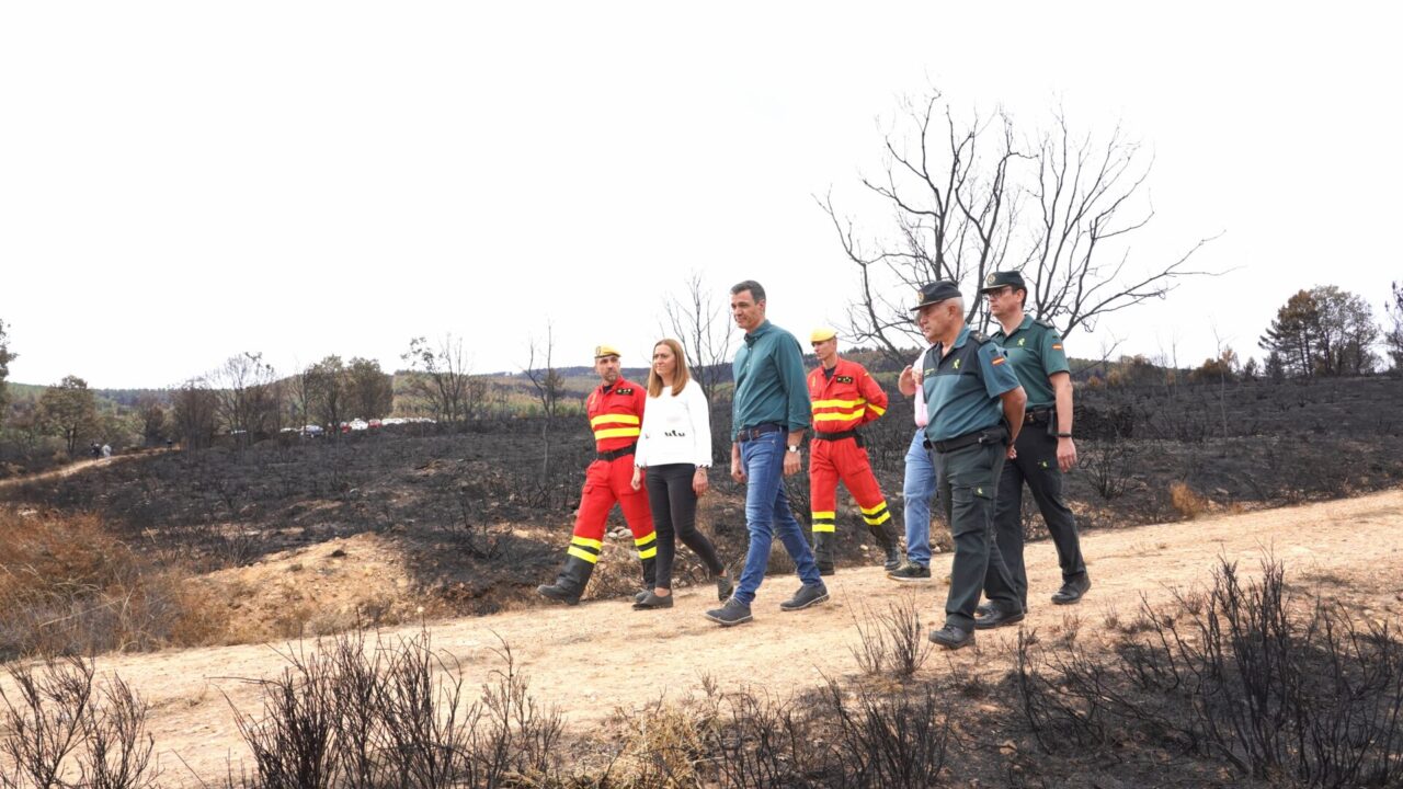 El presidente del Gobierno, Pedro Sánchez,  en una visita las zonas afectadas por el incendio forestal de la Sierra de la Culebra en 2022. / ICAL