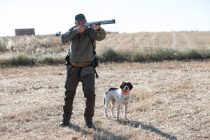 Comienza la media veda de caza en Castilla y León, con buenas expectativas de capturas. Fotografía: JL Leal