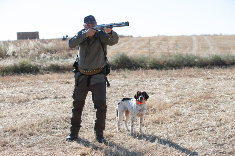 Comienza la media veda de caza en Castilla y León, con buenas expectativas de capturas. Fotografía: JL Leal