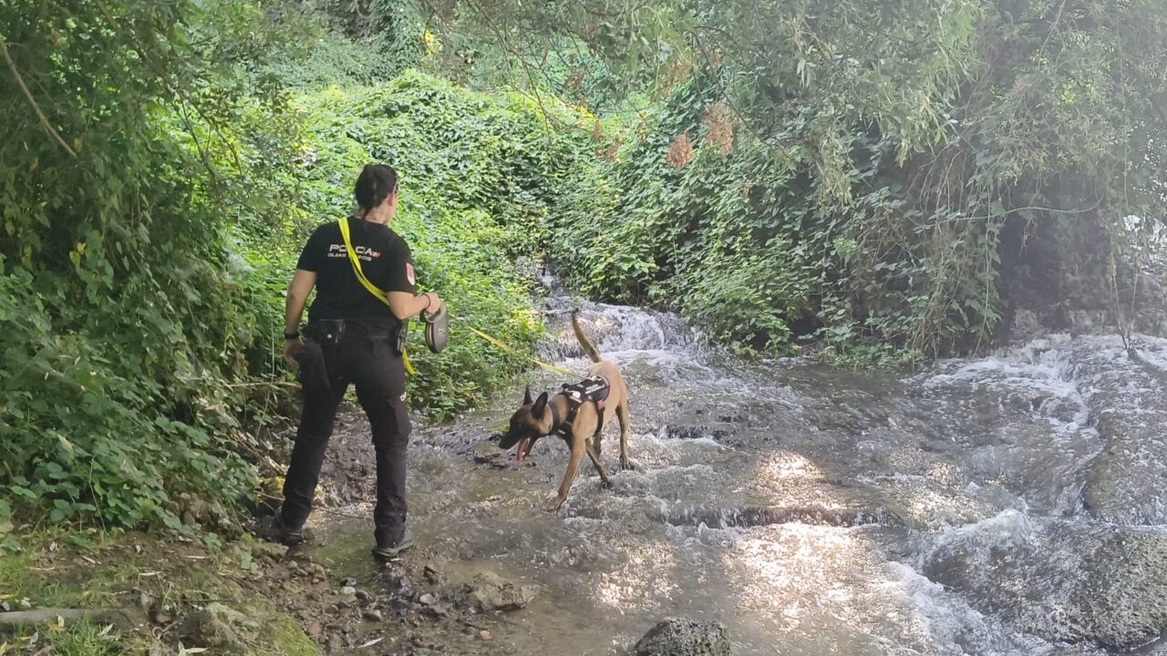Labores de búsqueda.