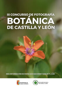 Concurso de fotografía Botánica de Castilla y León