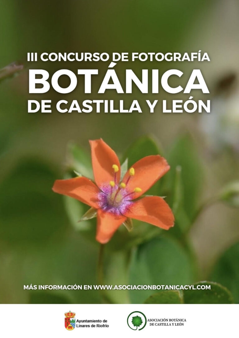 Concurso de fotografía Botánica de Castilla y León
