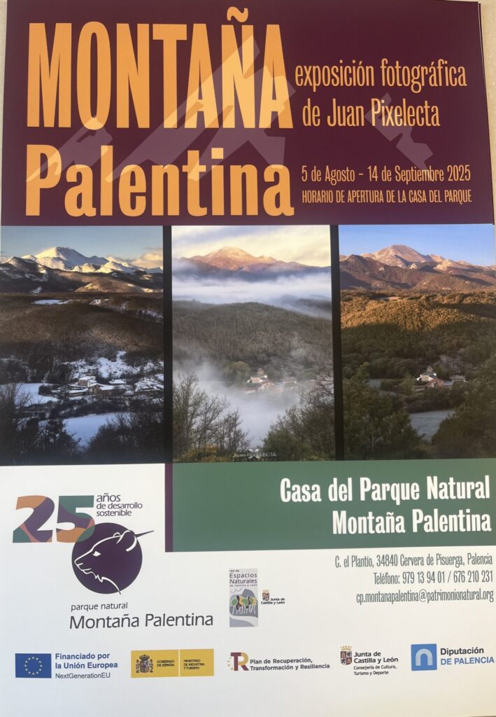 Cartel exposición
