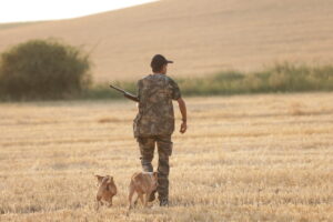 Comienzo de la temporada de caza