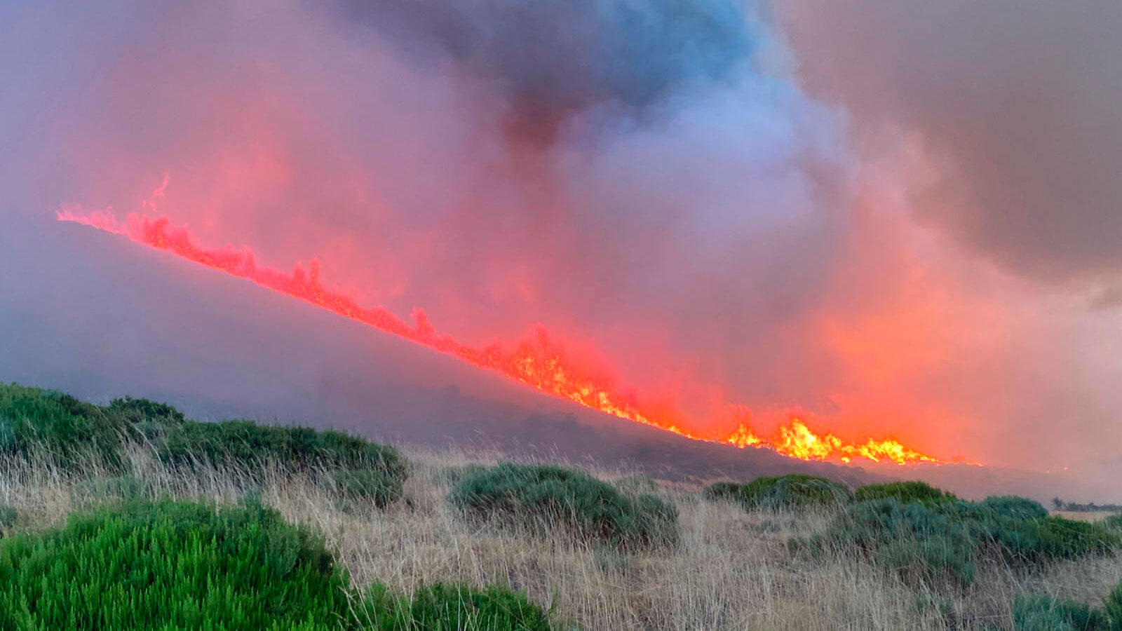 Imágenes-cedidas-del-incendio-en-la-Montaña-Palentina-en-sus-primeras-etapas