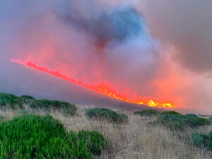Imágenes-cedidas-del-incendio-en-la-Montaña-Palentina-en-sus-primeras-etapas