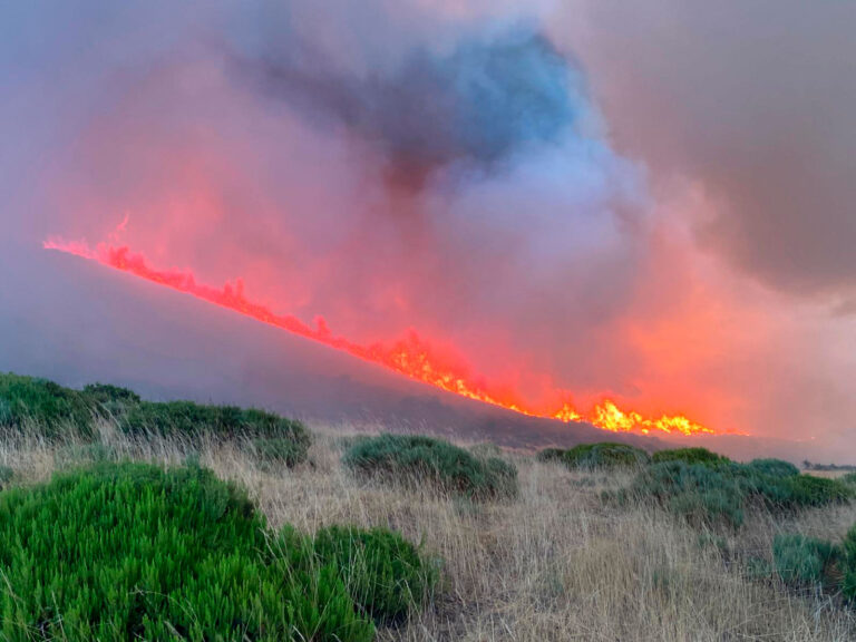 Imágenes-cedidas-del-incendio-en-la-Montaña-Palentina-en-sus-primeras-etapas