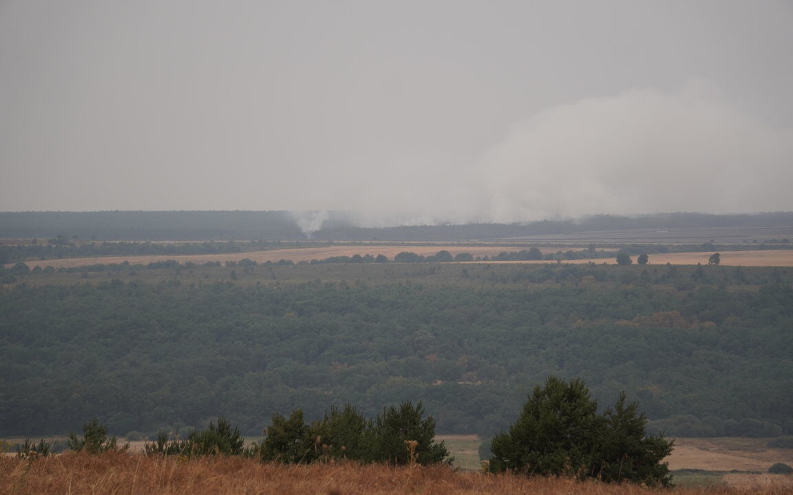 Incendio Villalba de Guardo. Lunes 18 de agosto. Fotografía: David Aricha
