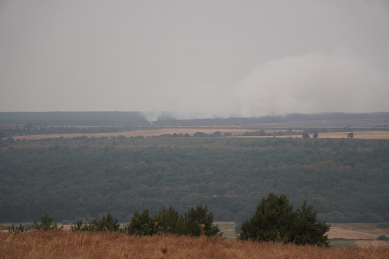 Incendio Villalba de Guardo. Lunes 18 de agosto. Fotografía: David Aricha