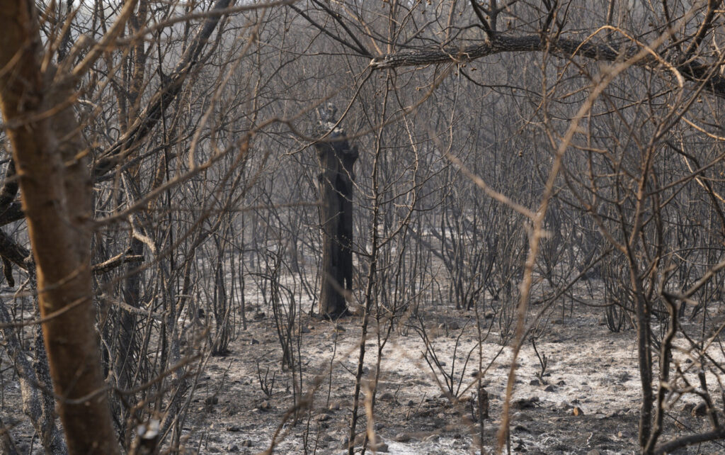 Incendio en Las Médulas (León). Fotografía: César Hornija (ICAL)