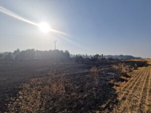 La Venta en Becerril de Campos