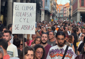 Manifestación en Valladolid contra la gestión de los incendios. Imágenes enviadas por un grupo de asistentes desde Palencia