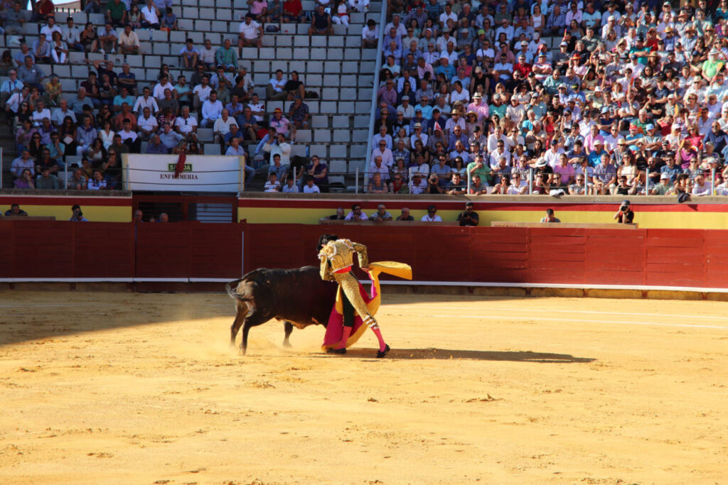 Primera Corrida de Abono. Toros San Antolín 2025. FOTOS: MARIO COLOMER