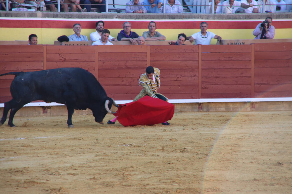 Primera Corrida de Abono. Toros San Antolín 2025. FOTOS: MARIO COLOMER