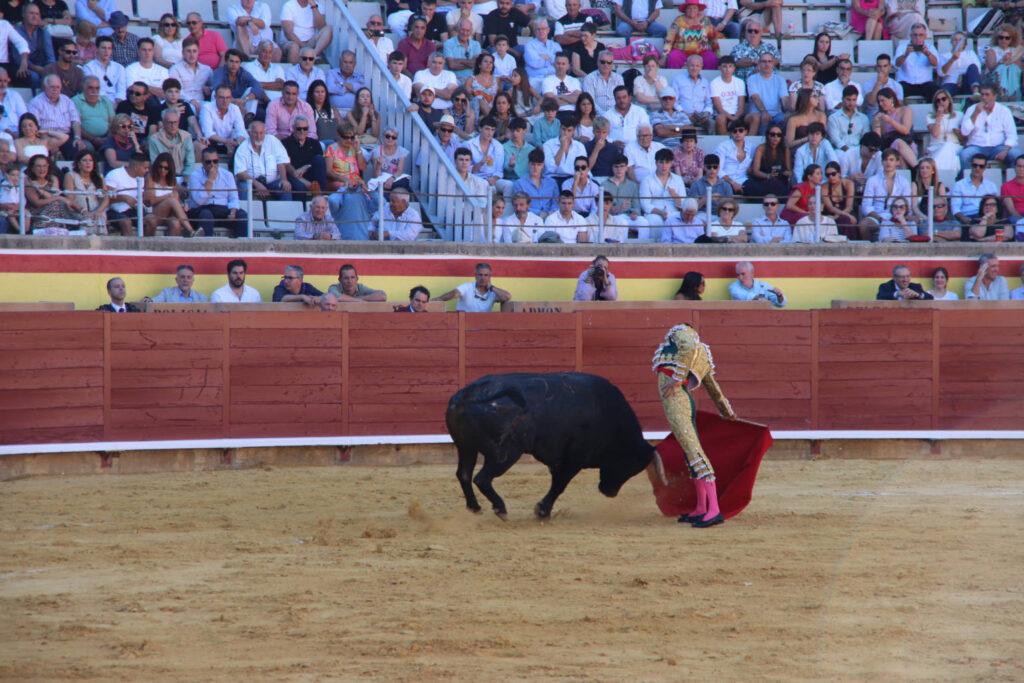 Primera Corrida de Abono. Toros San Antolín 2025. FOTOS: MARIO COLOMER