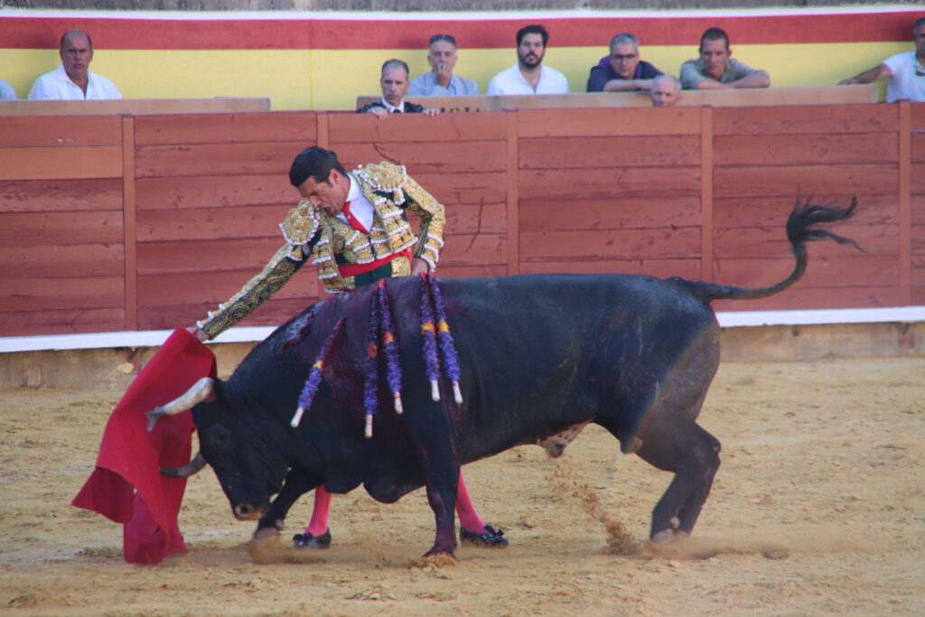 Primera Corrida de Abono. Toros San Antolín 2025. FOTOS: MARIO COLOMER