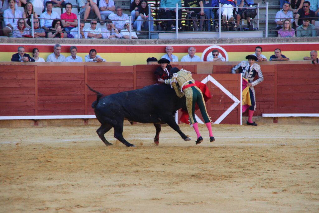 Primera Corrida de Abono. Toros San Antolín 2025. FOTOS: MARIO COLOMER