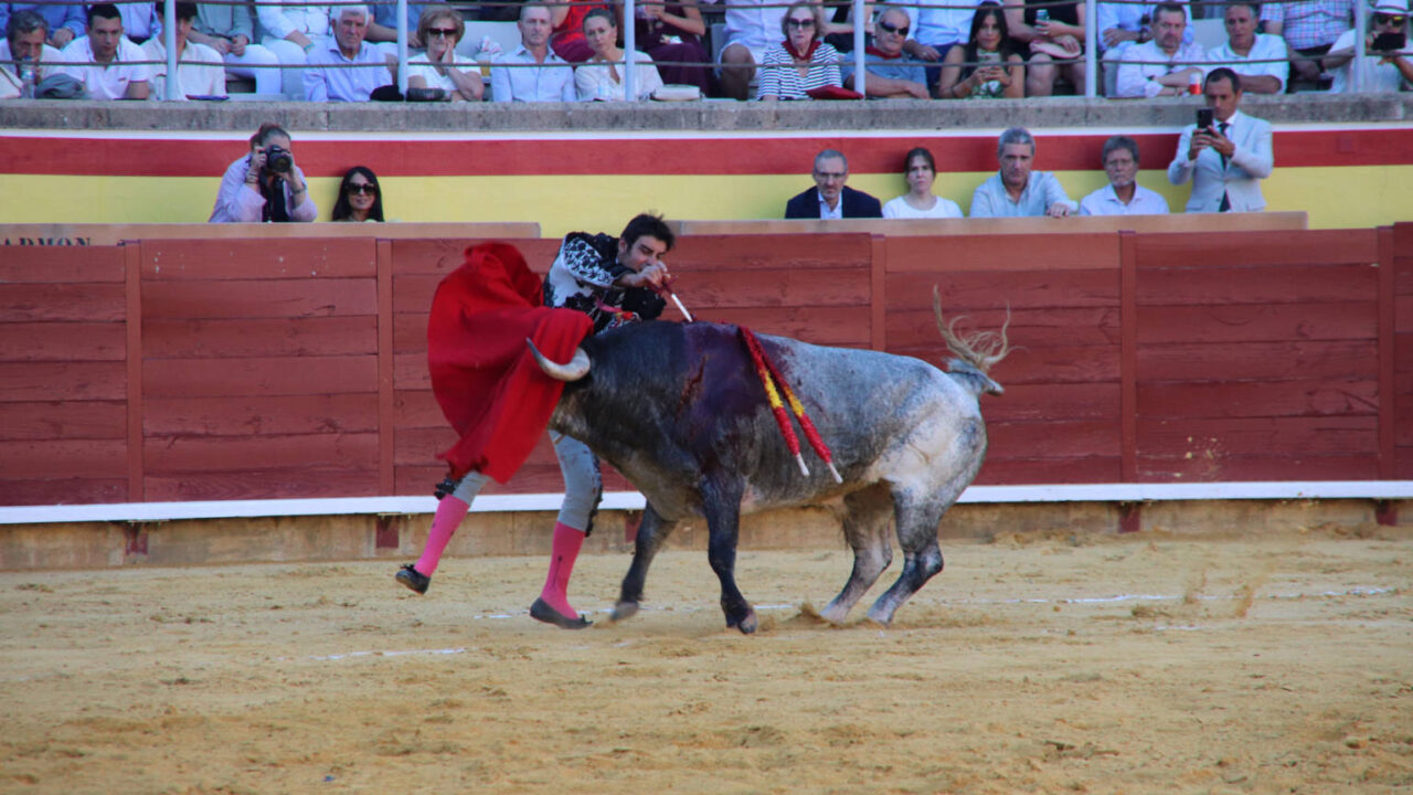 Primera Corrida de Abono. Toros San Antolín 2025. FOTOS: MARIO COLOMER