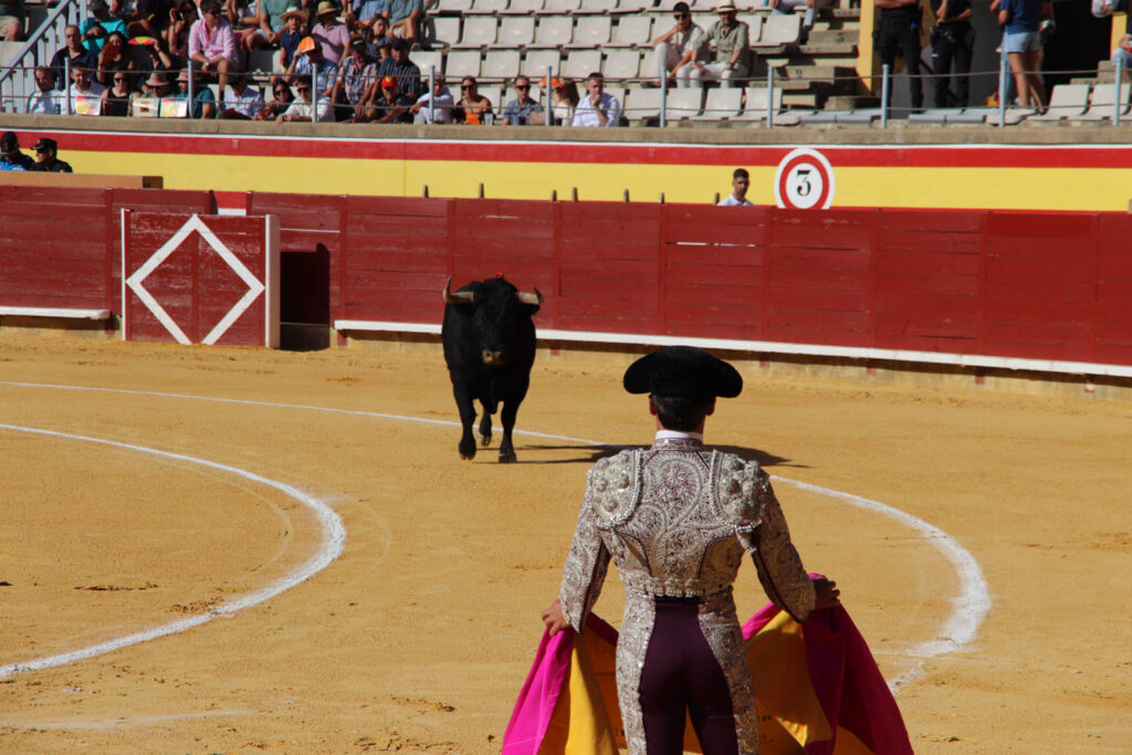 Primera Corrida de Abono. Toros San Antolín 2025. FOTOS: MARIO COLOMER