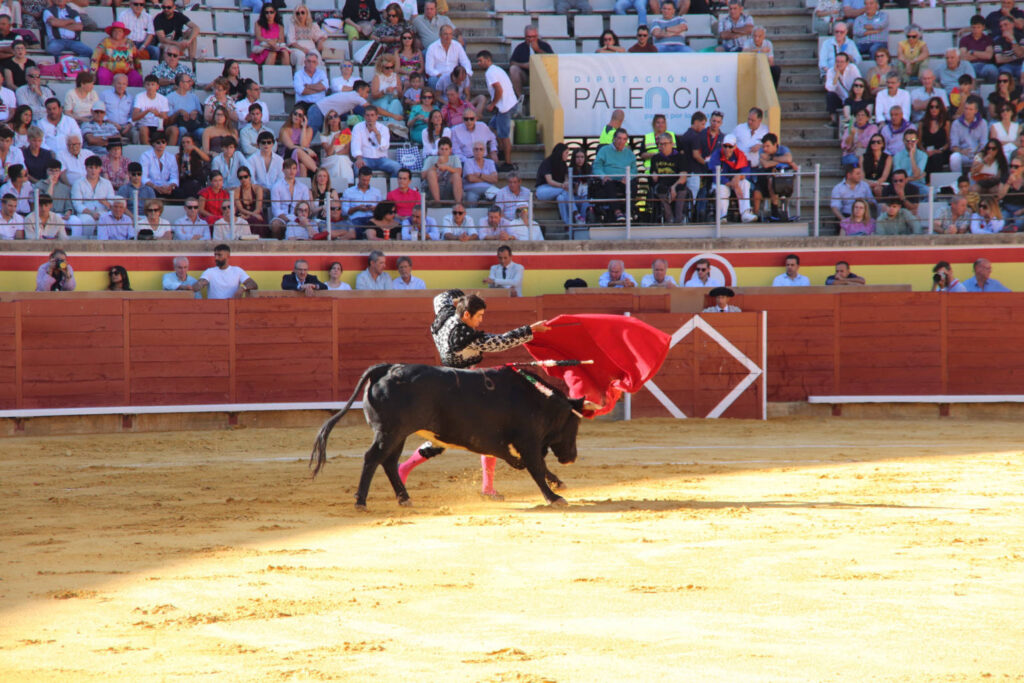 Primera Corrida de Abono. Toros San Antolín 2025. FOTOS: MARIO COLOMER