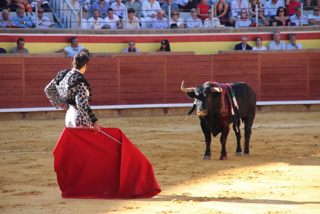 Primera Corrida de Abono. Toros San Antolín 2025. FOTOS: MARIO COLOMER