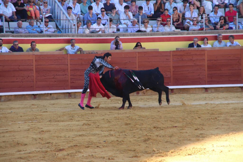 Primera Corrida de Abono. Toros San Antolín 2025. FOTOS: MARIO COLOMER