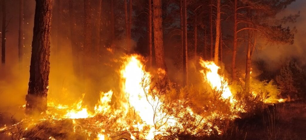 Bomberos de Guardo