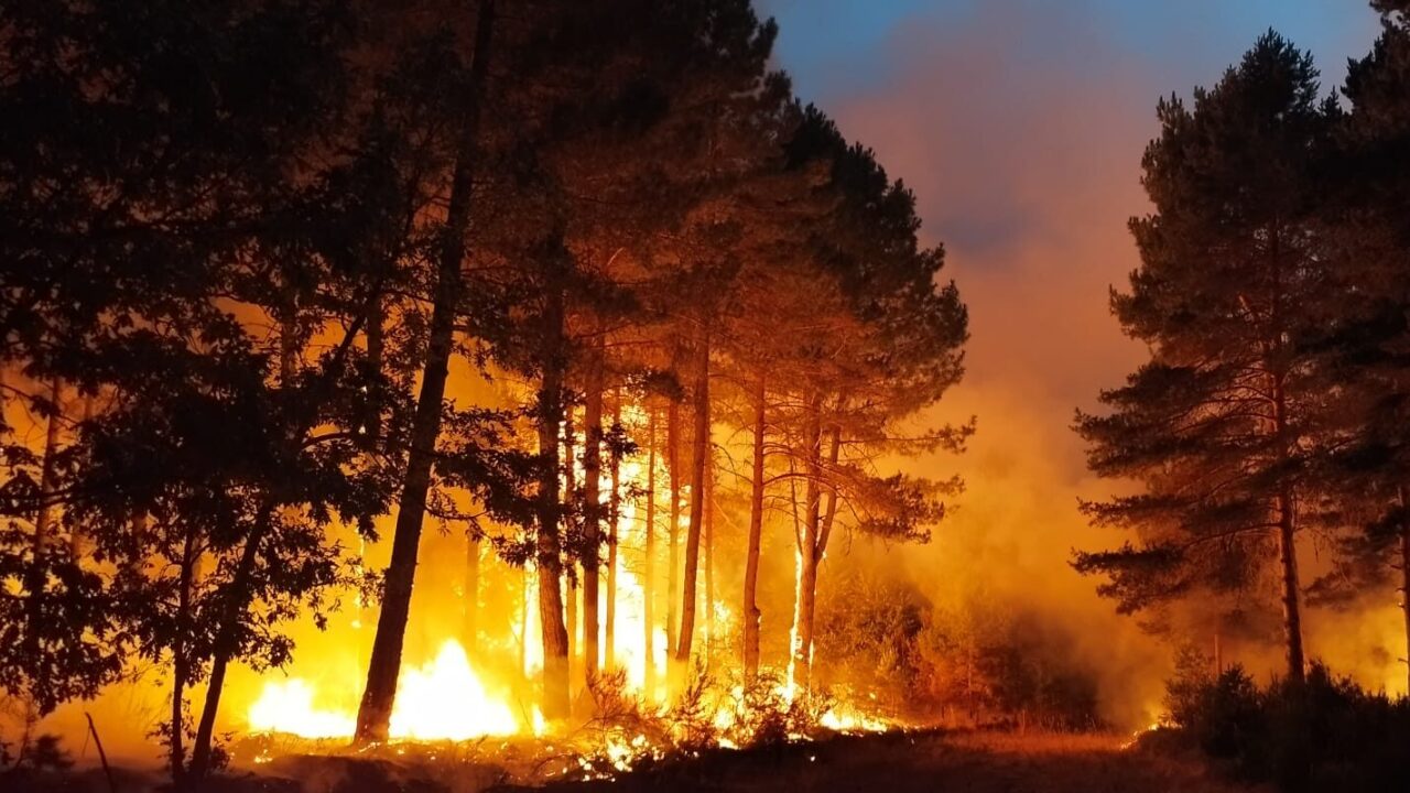 Imagen del incendio de Riocamba (IFCanalejas) que afectó a los municipios de Guardo, Mantinos, Villalba y Fresno en la provincia de Palencia. / Bomberos de Guardo