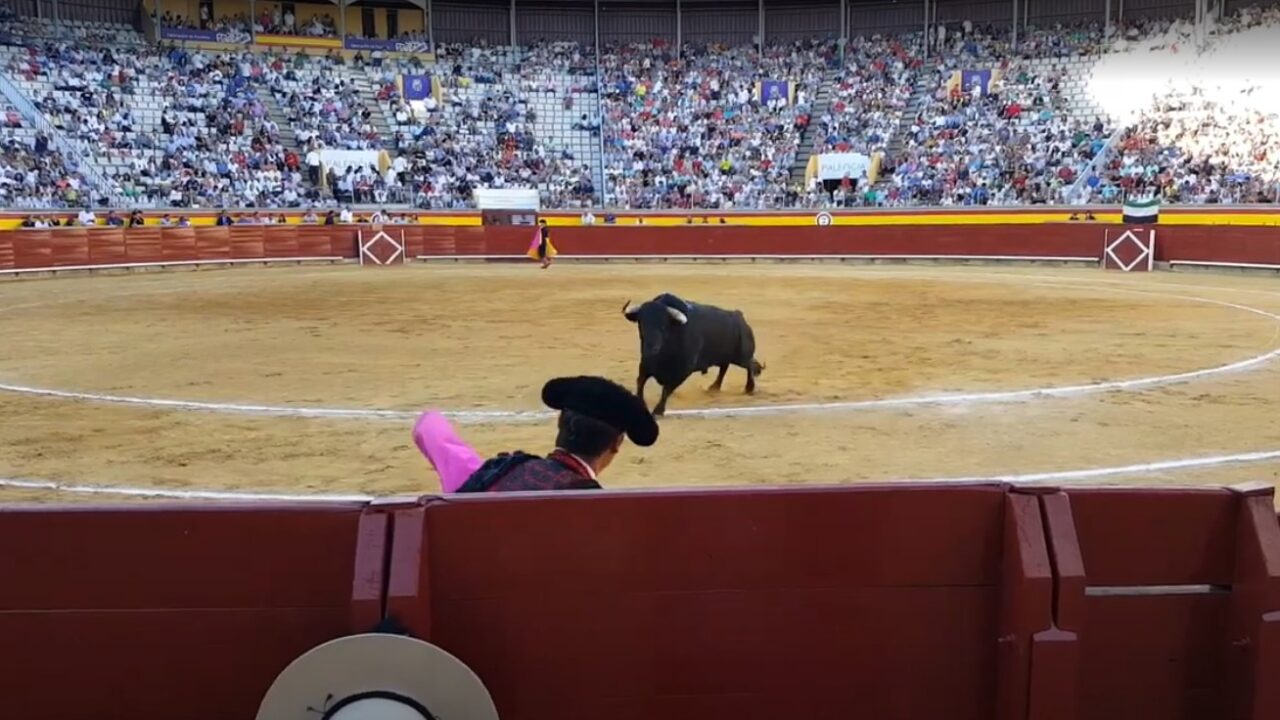 Vista de una corrida de toros desde el burladero de la plaza de toros de Palencia. / Óscar Herrero