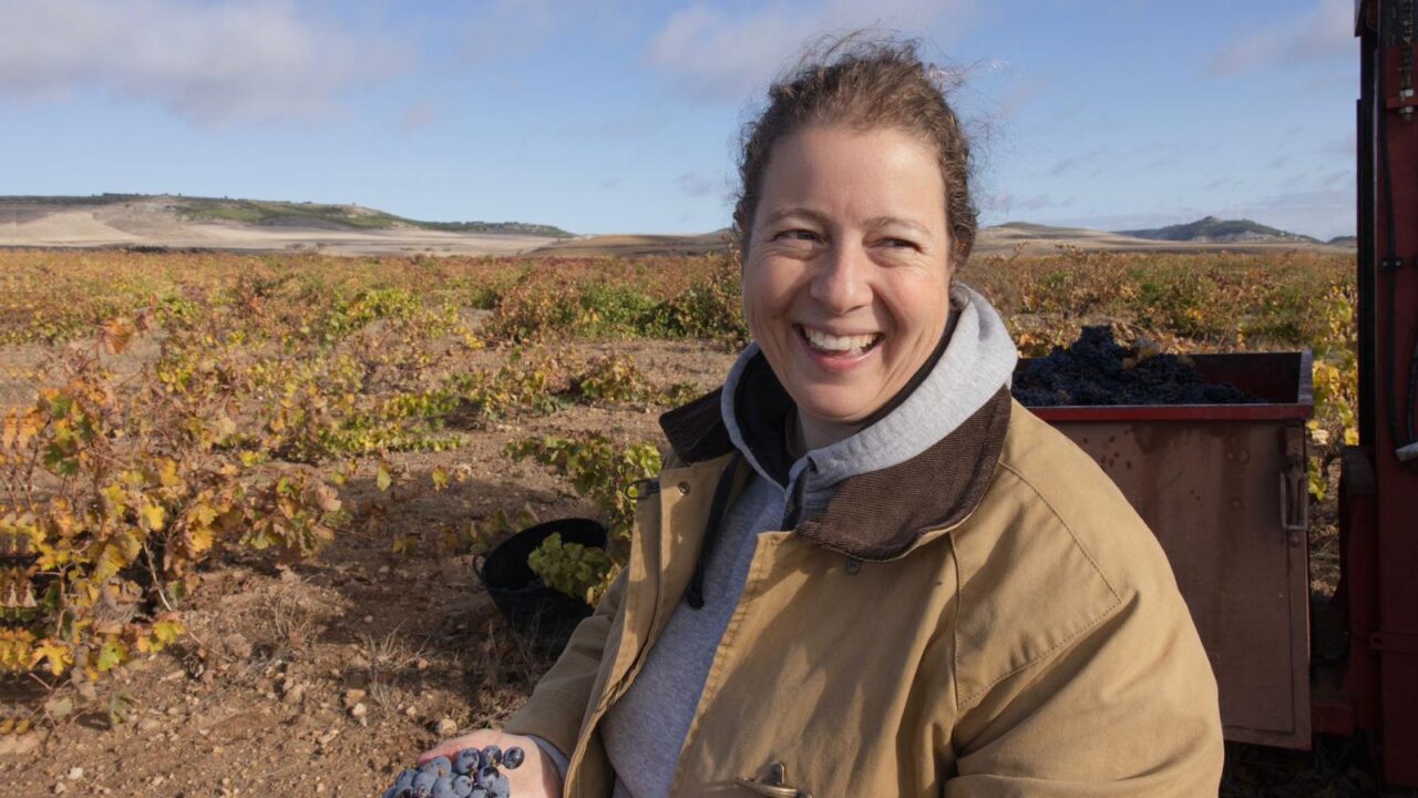bodegas remigio salas