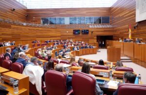 Segunda jornada de la primera sesión plenaria del curso en las Cortes de Castilla y León. Fotografía: Miriam Chacón (ICAL)