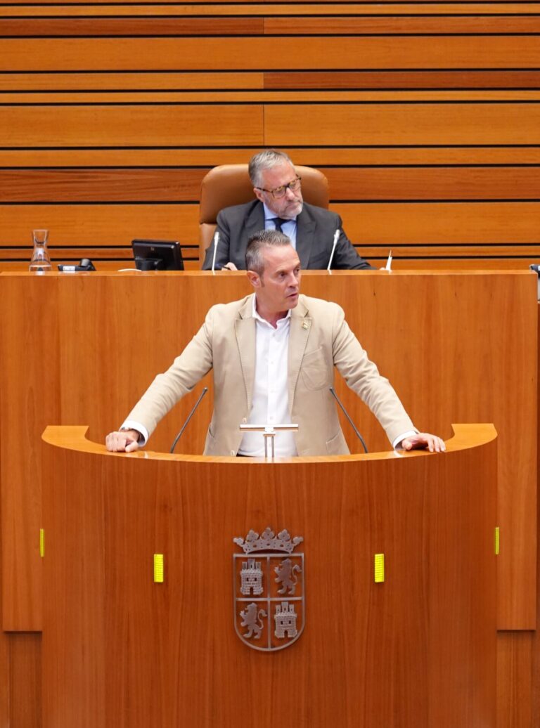 Segunda sesión del Pleno de las Cortes de Castilla y León que se inicia en el tercer punto del orden del día, relativo a las mociones. Fotografía: Miriam Chacón (ICAL)
