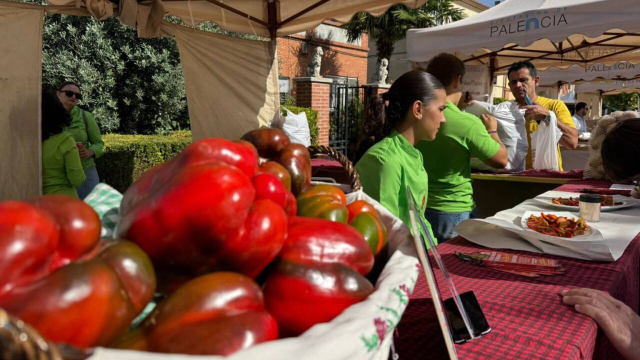 31 FERIA DEL PIMIENTO DE TORQUEMADA (7)