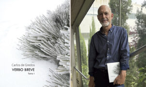 Carlos-de-Gredos---Verbo-Breve-presentación