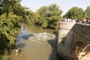 Circuito de Triatlón “Diputación de Palencia”