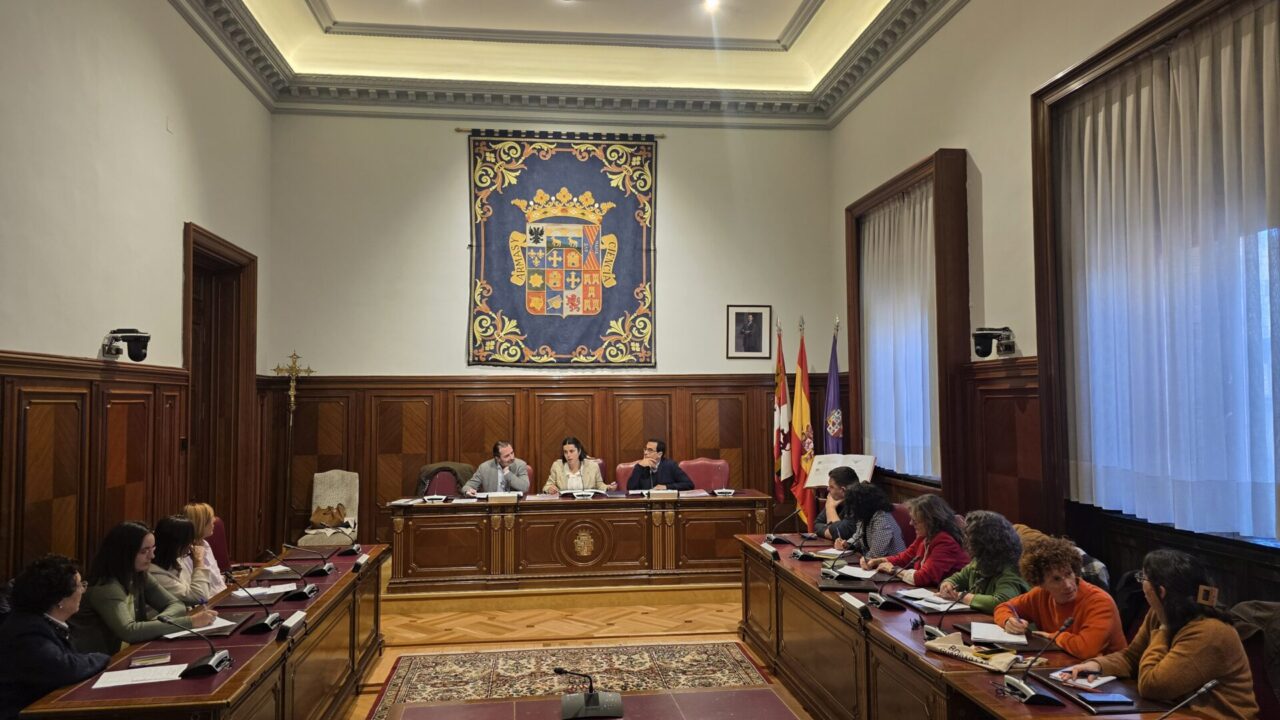 Consejo Provincial de la Mujer. Diputación de Palencia