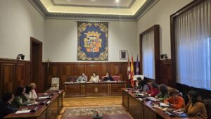 Consejo Provincial de la Mujer. Diputación de Palencia