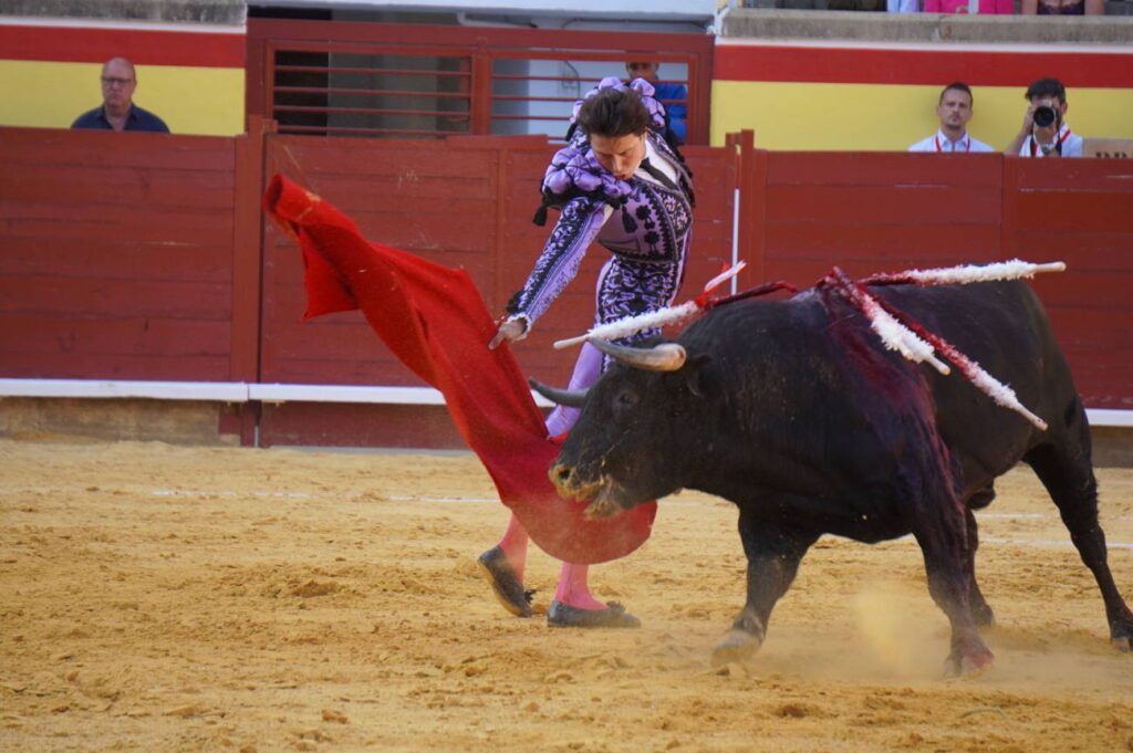 Corrida 2 de septiembre San Antolín 2025 - Fotos Sergio Lozano